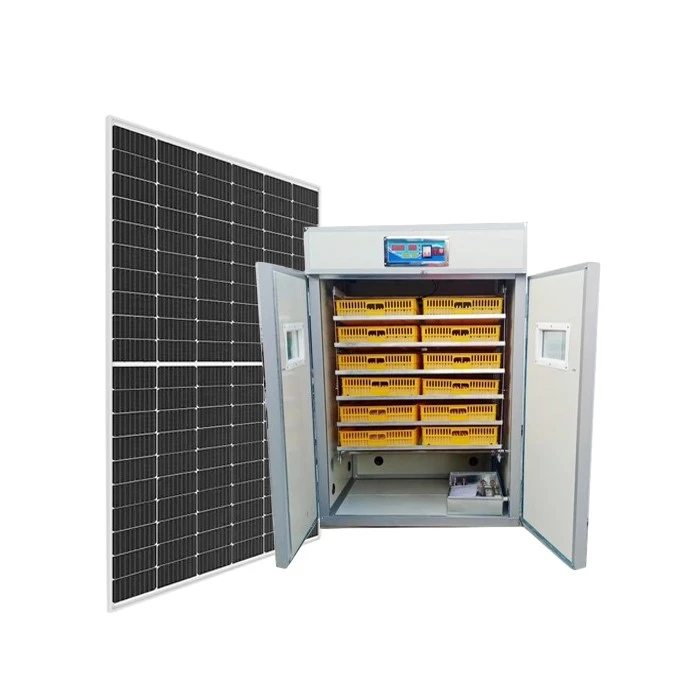 professional reptile incubator professional reptile incubator