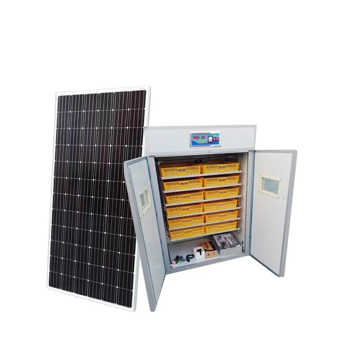reptile incubators reptile incubators