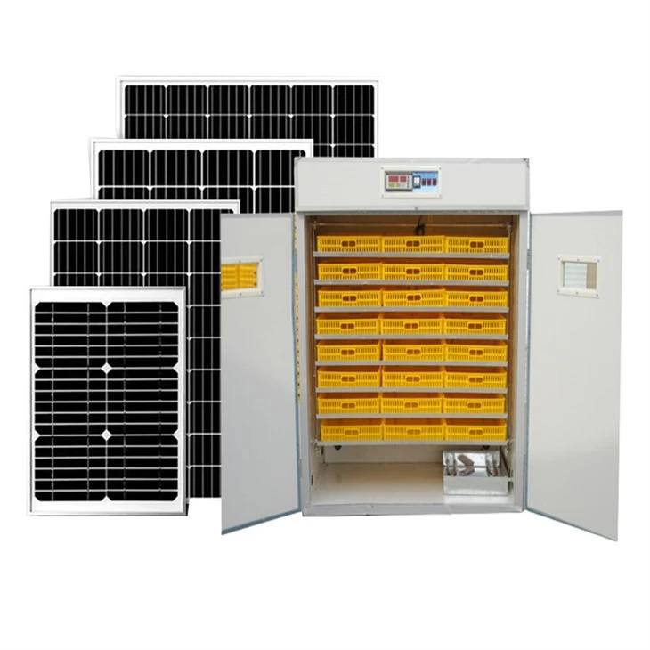 best budget incubator best budget incubator