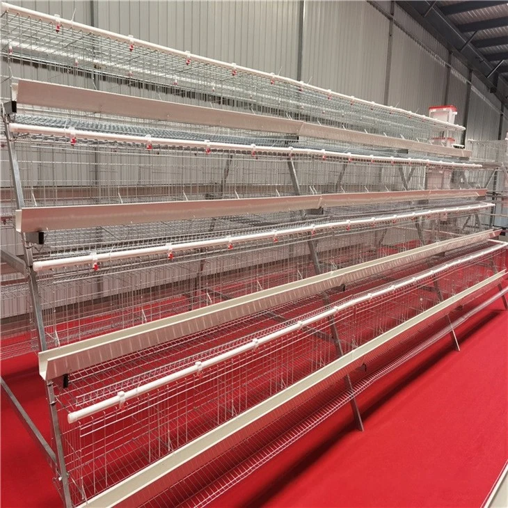 4 Levels 5 Door Chicken Layer Cage 4 Levels 5 Door Chicken Layer Cage