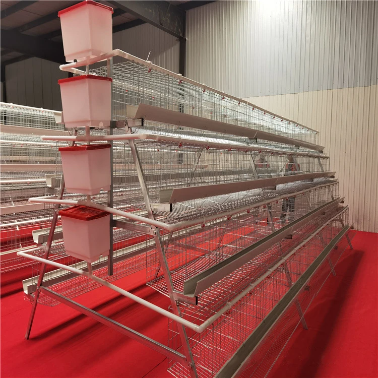 4 Levels 5 Door Chicken Layer Cage 4 Levels 5 Door Chicken Layer Cage