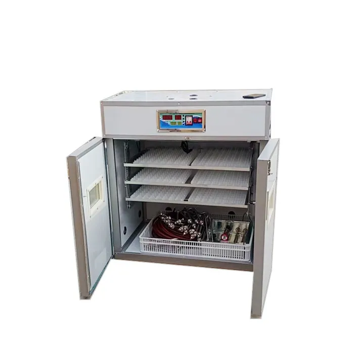 best incubator for turkey eggs