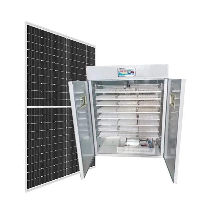 solar powered egg incubator for sale