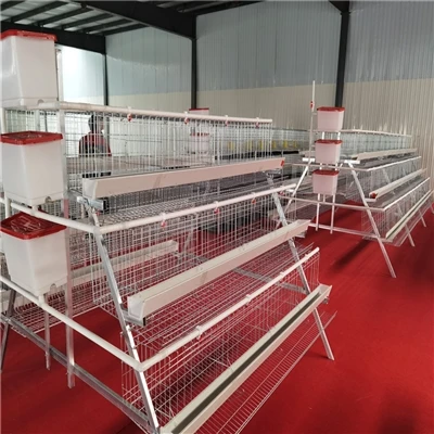 Specifications of rack Chicken Cage