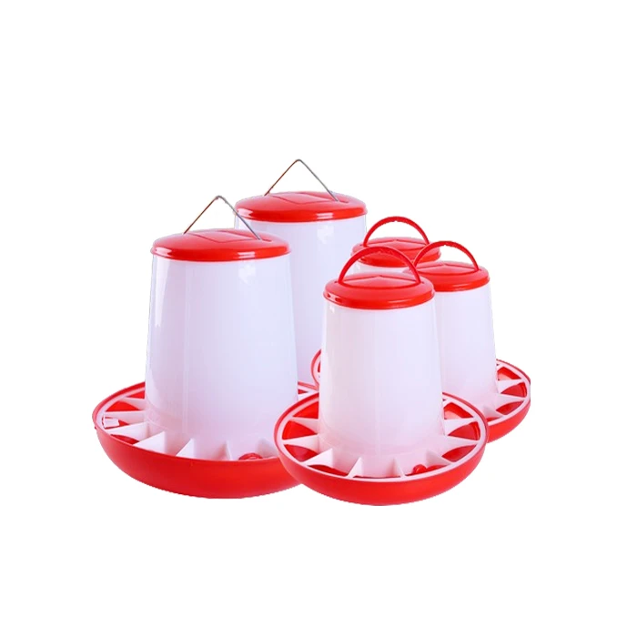 chicks feeders poultry chicks feeders poultry