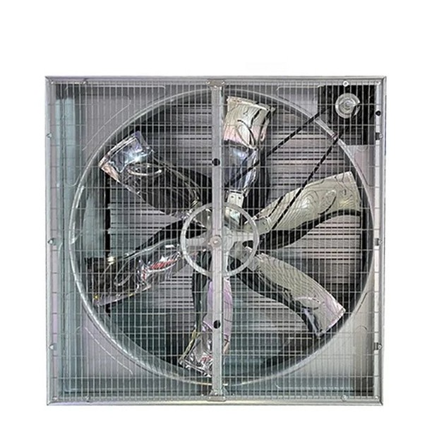 fan fan