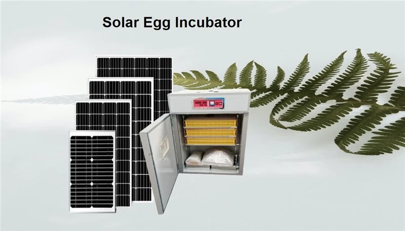 image001 image001