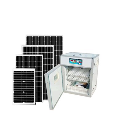 Automatic 176 Solar Egg Incubator