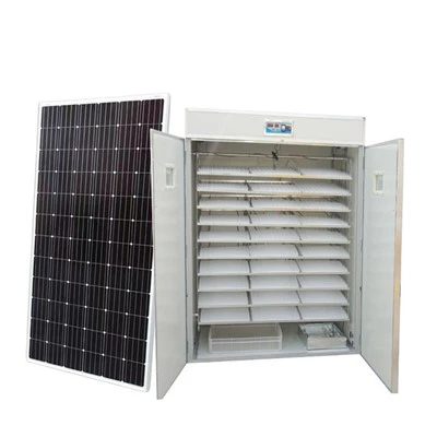 Automatic 5280 Solar Egg Incubator Automatic 5280 Solar Egg Incubator